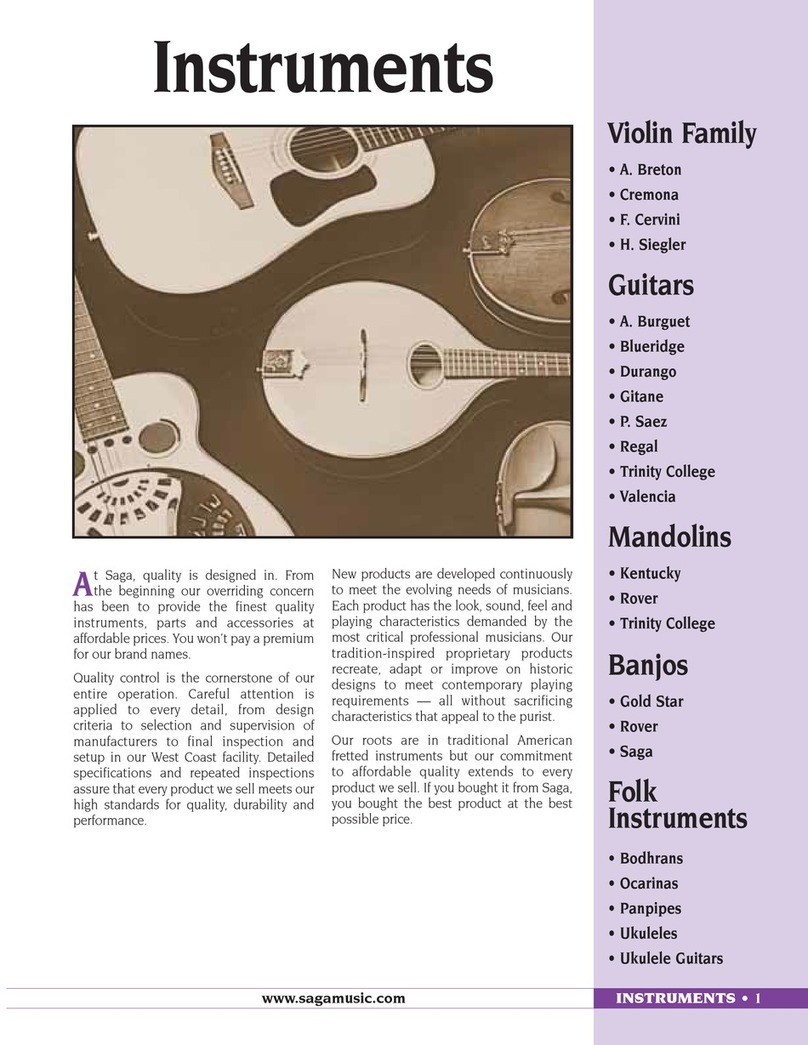 Saga Blueridge BR-140A brochure