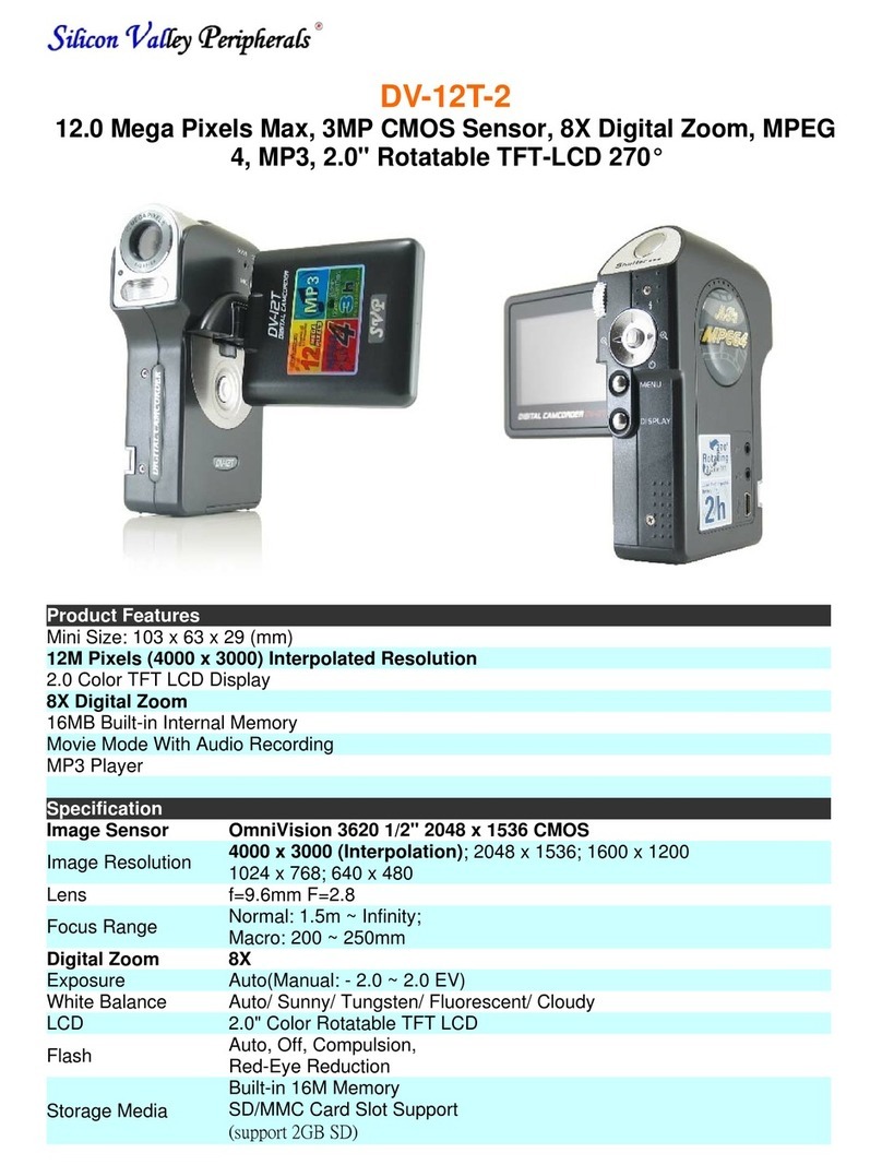 SVP DV-12T-2 User manual