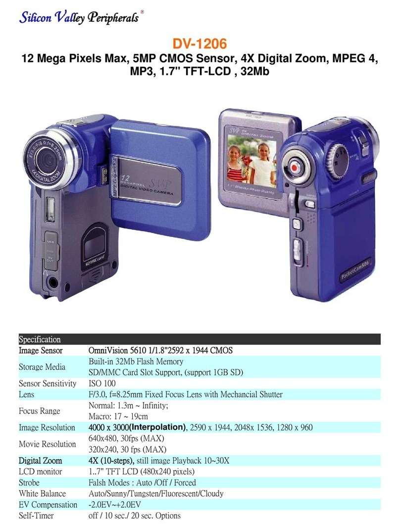 SVP DV-1206 User manual