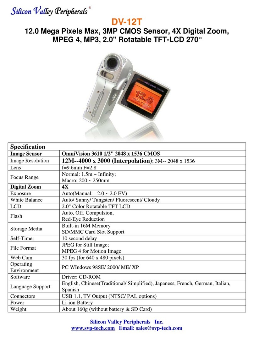 SVP DV-12T User manual