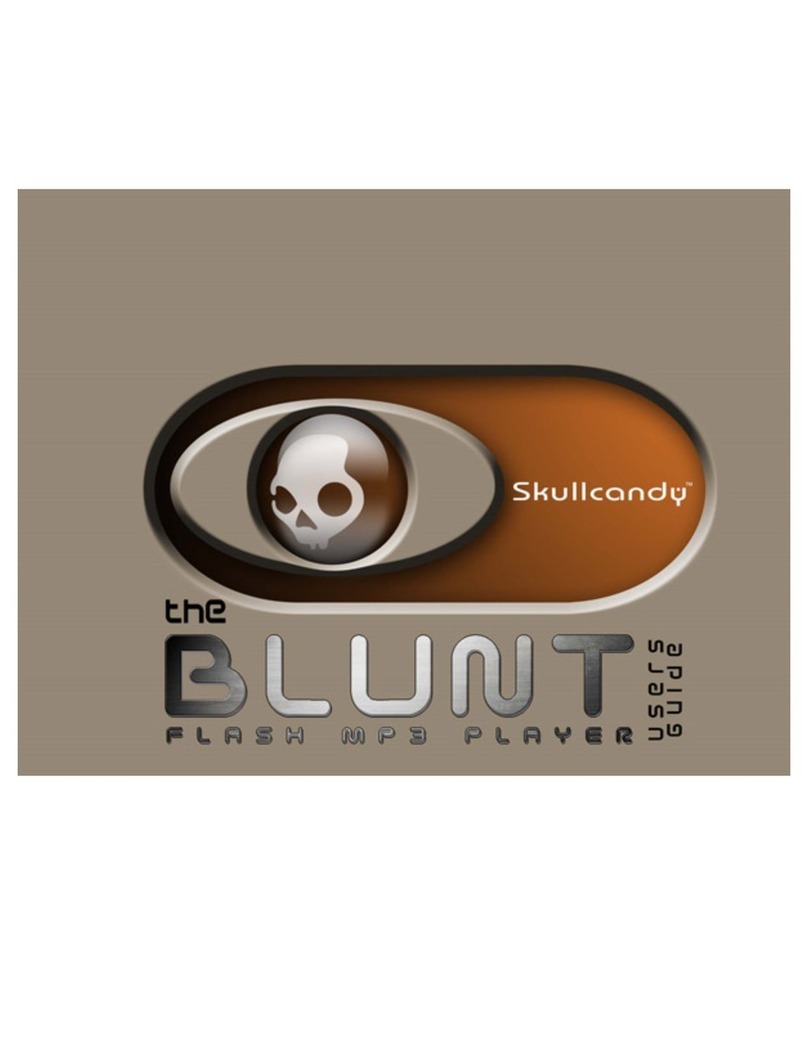 Skullcandy Blunt 256MB user guide