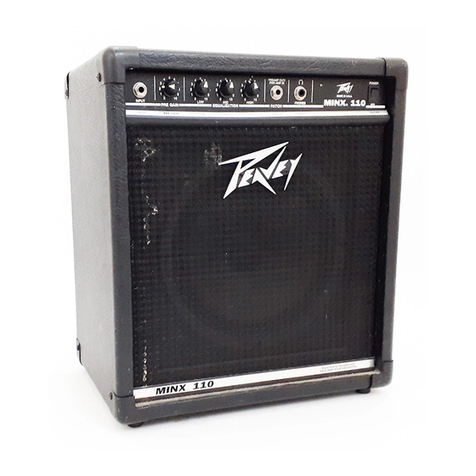 Peavey Minx 110 User manual