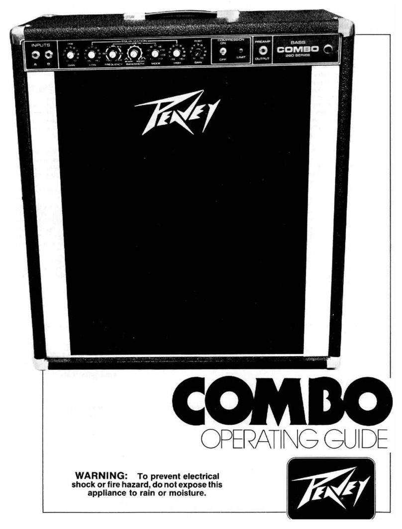 Peavey Combo User manual