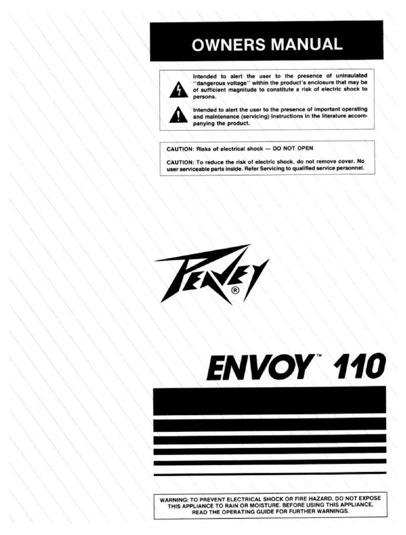 Peavey Transtube Envoy 110 User manual