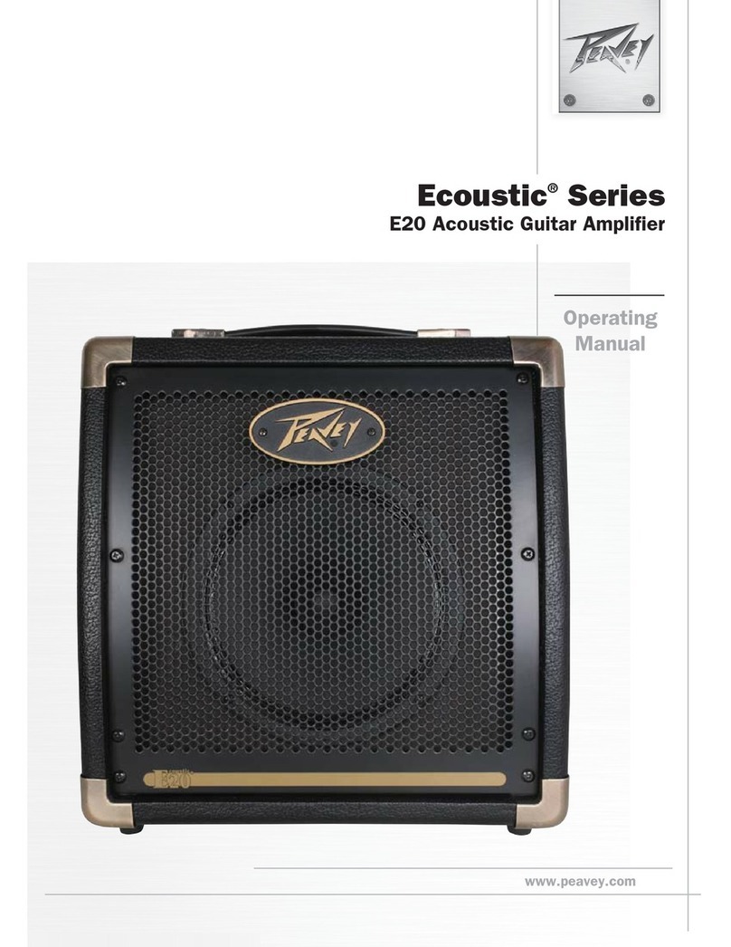 Peavey Ecoustic E20 User manual