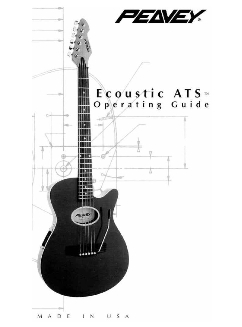 Peavey ATS Ecoustic User manual