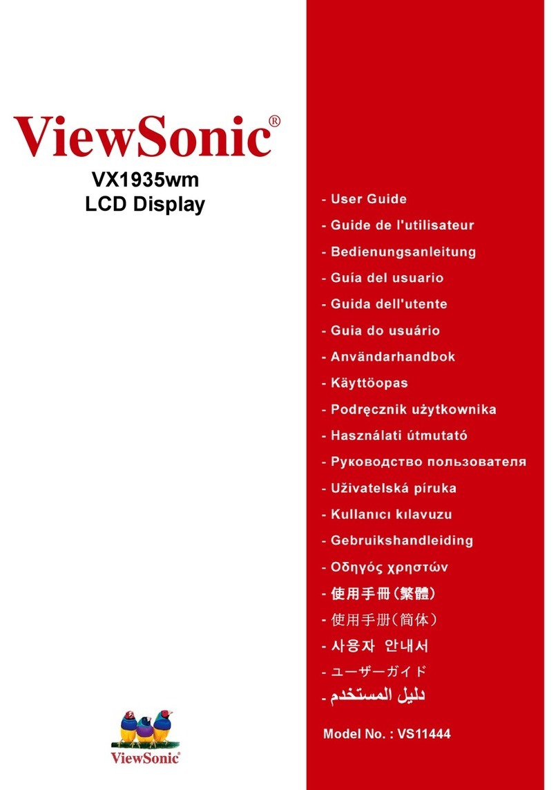 ViewSonic VX1935wm User manual