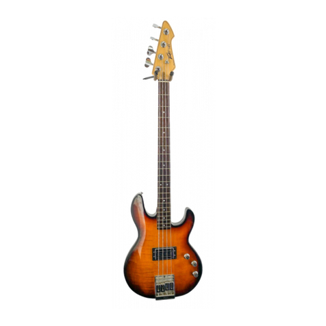 Peavey T-45 User manual
