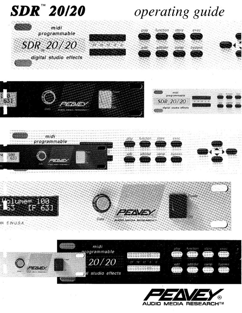 Peavey SDR 20/20 User manual