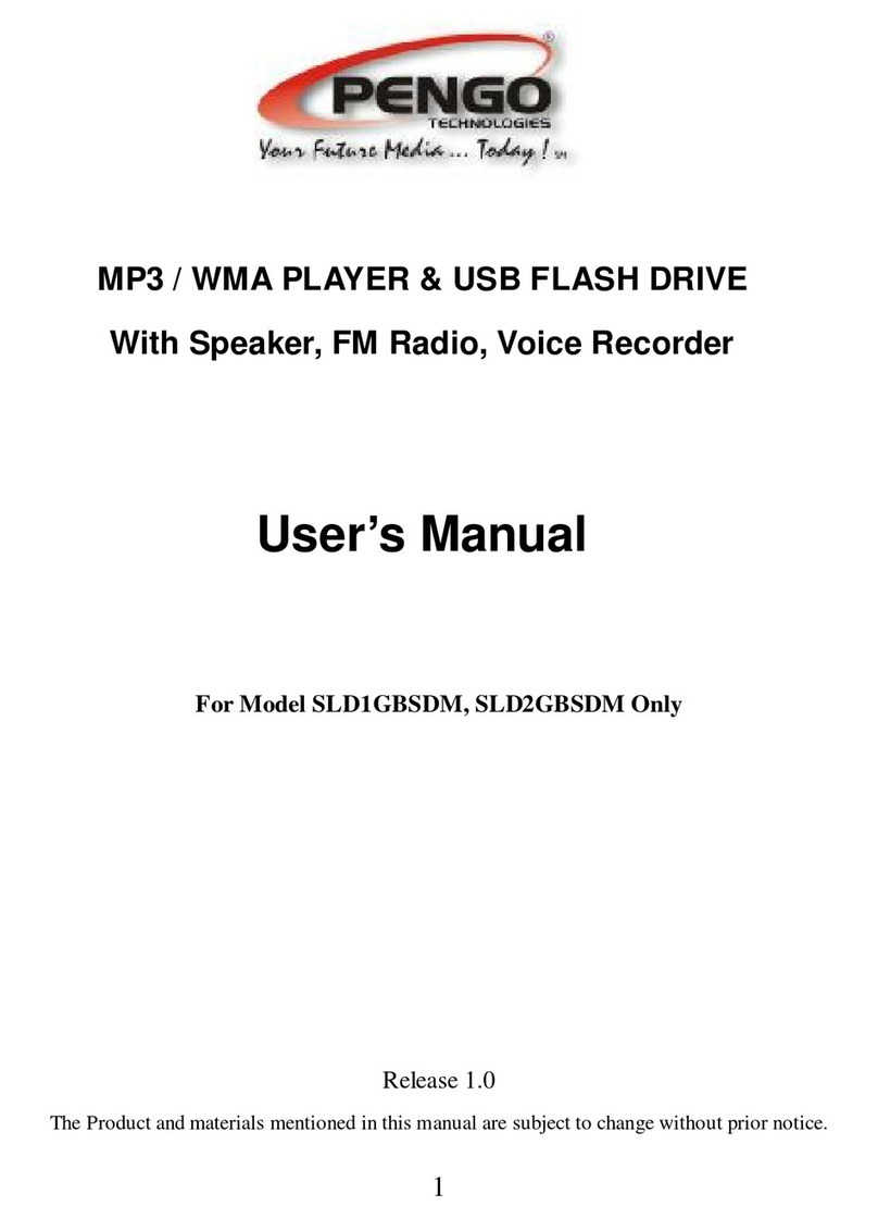 Pengo SLD1GBSM user manual
