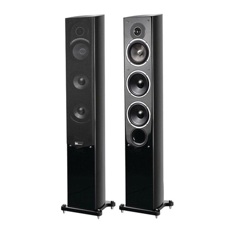 Pure Acoustics Noble II C User manual