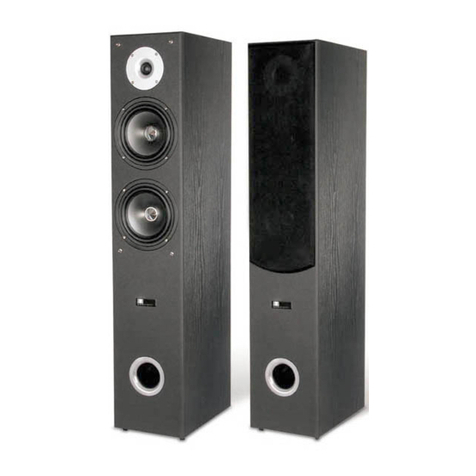 Pure Acoustics EX-650C Features