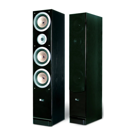 Pure Acoustics QX900F Technical specifications