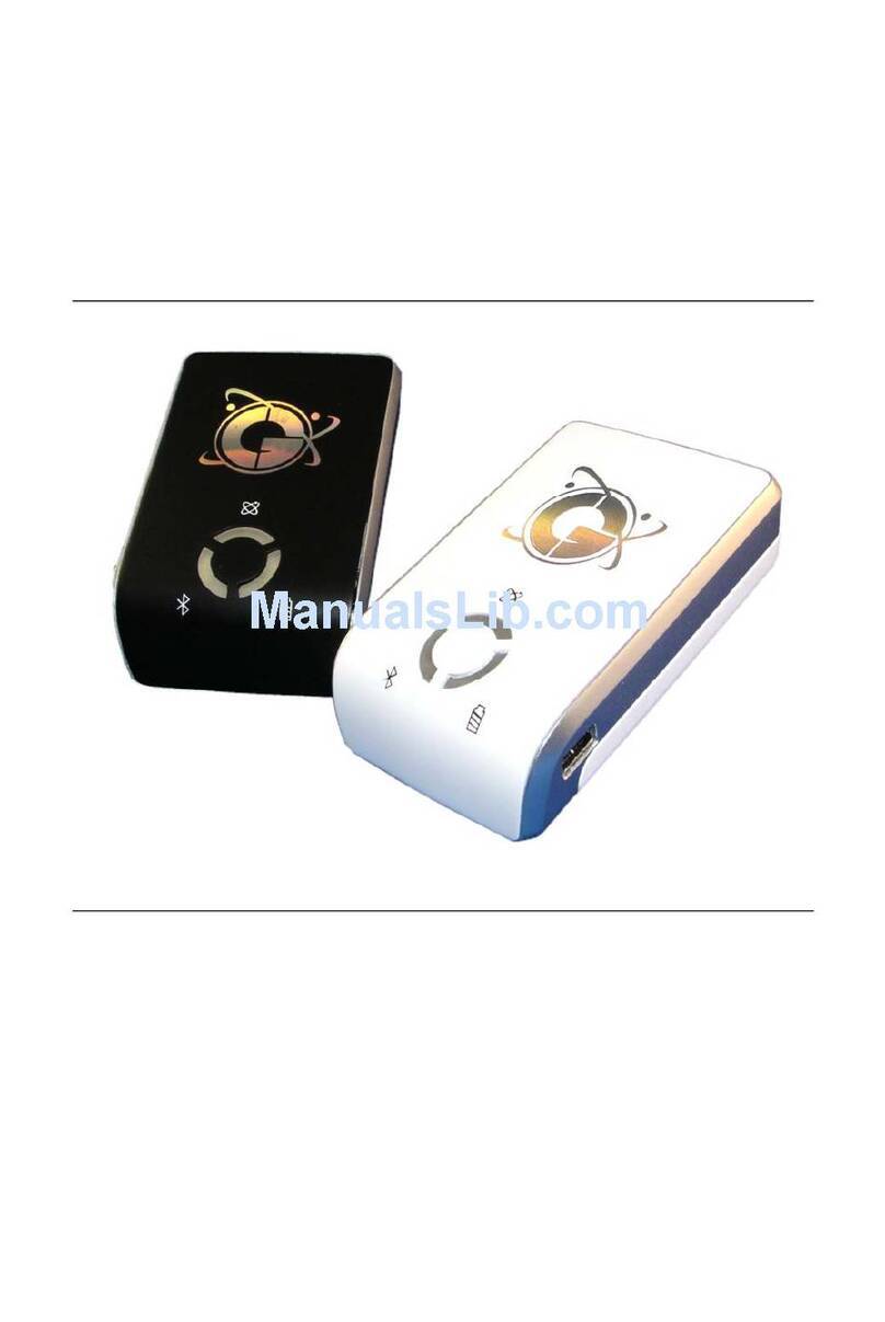 Qstarz BT-Q800 user manual
