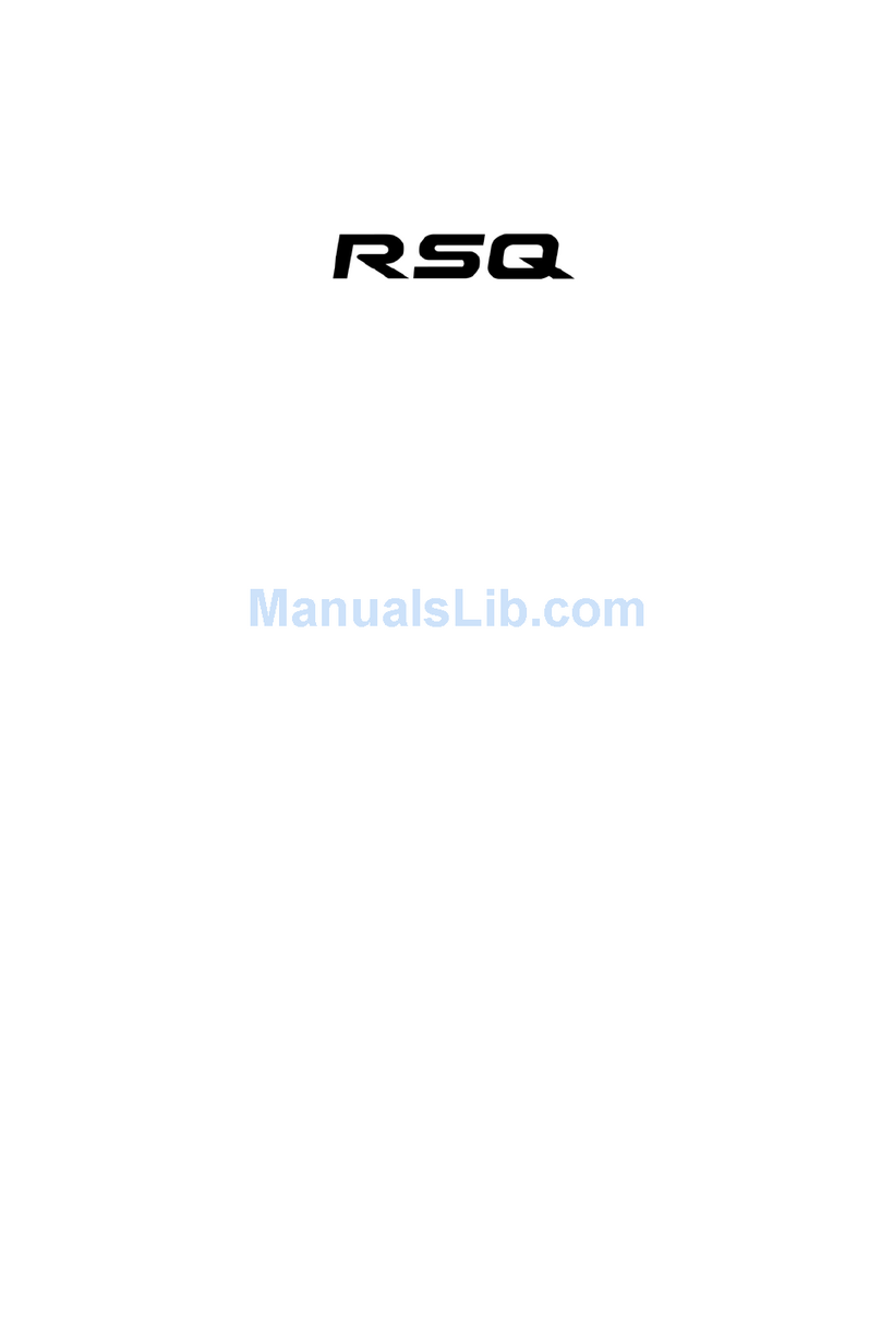 RSQ RW-2502V user manual