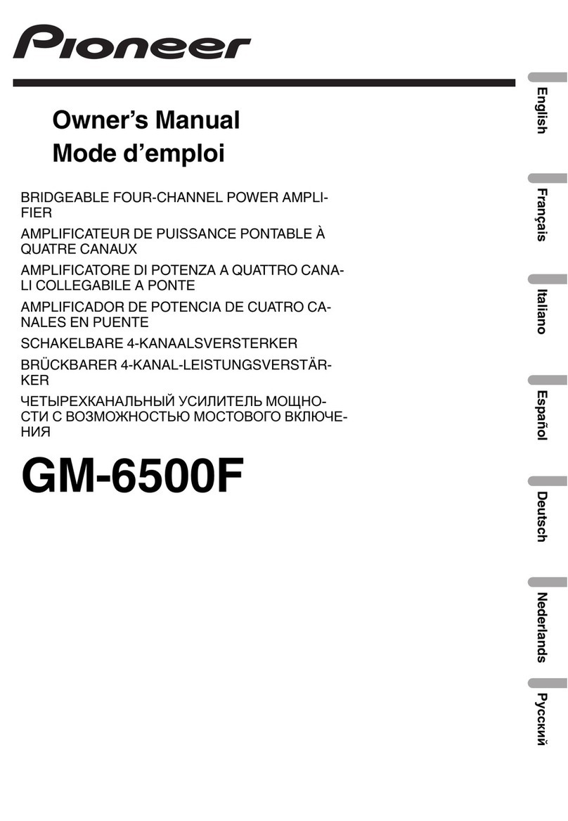 Pioneer GM-6500F User manual