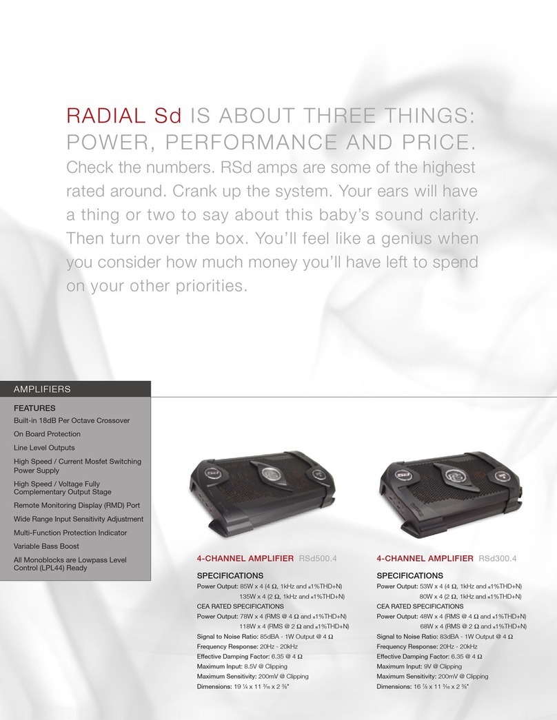 Phoenix Gold RSD250.2 User manual