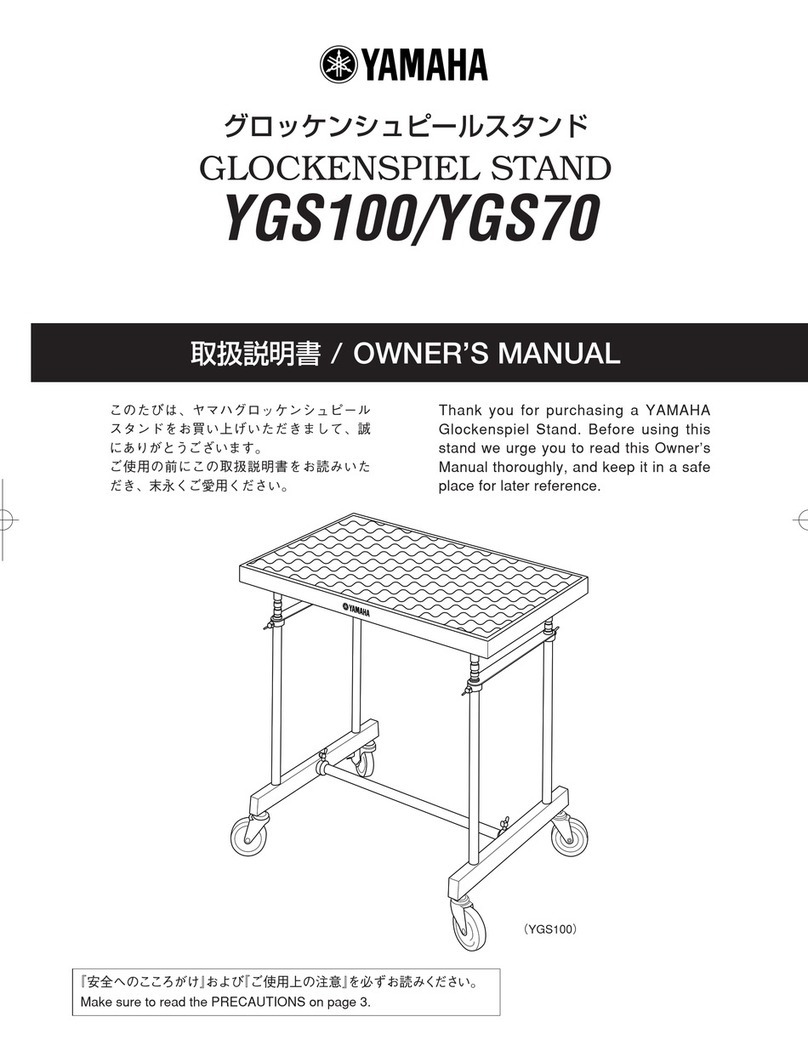 Yamaha YGS-100 owner's manual