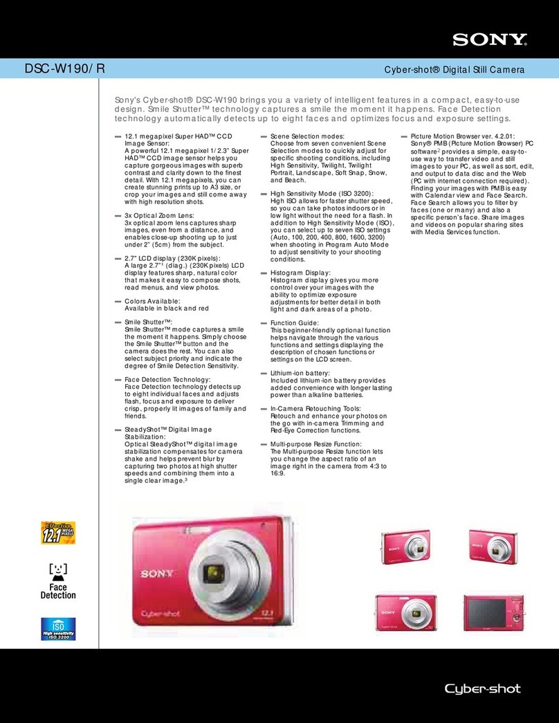 Sony DSC-W190/R Specifications