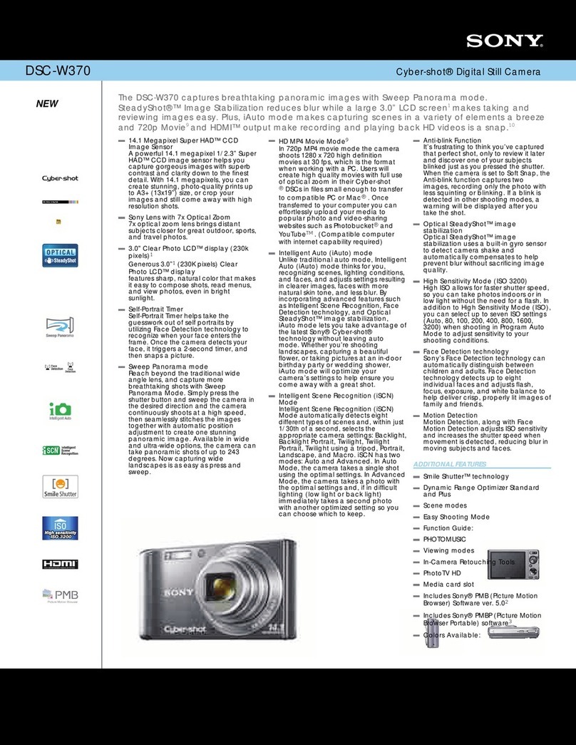 Sony DSC-W370/B User manual
