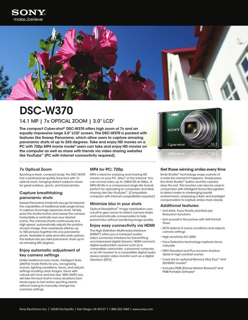 Sony Cyber-shot DSC-W370 User manual