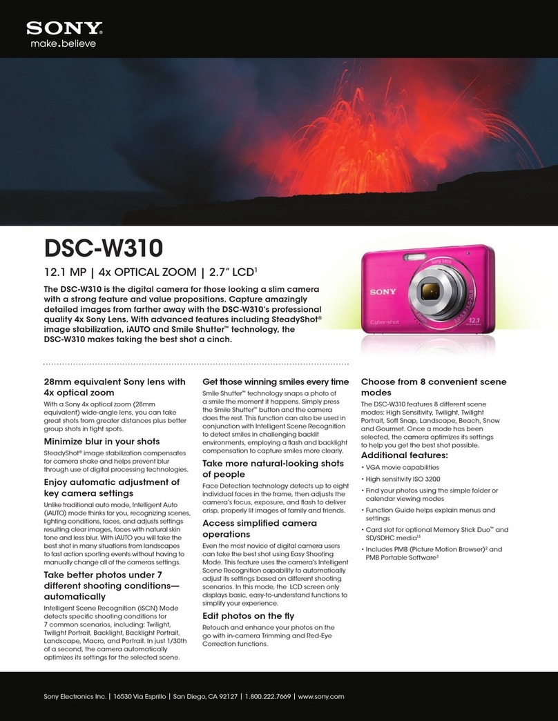 Sony Cyber-shot DSC-W310 User manual