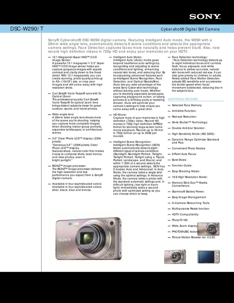 Sony DSC-W290/T User manual