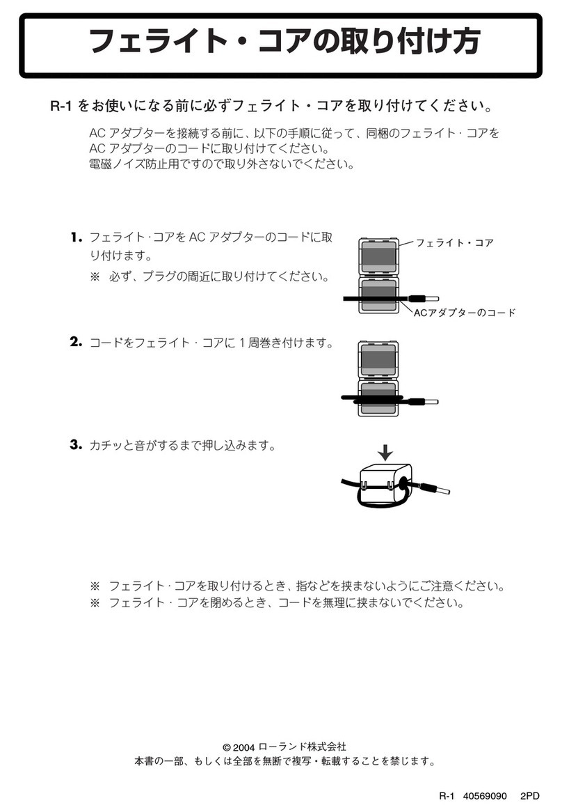 Roland Edirol R-1 Manual