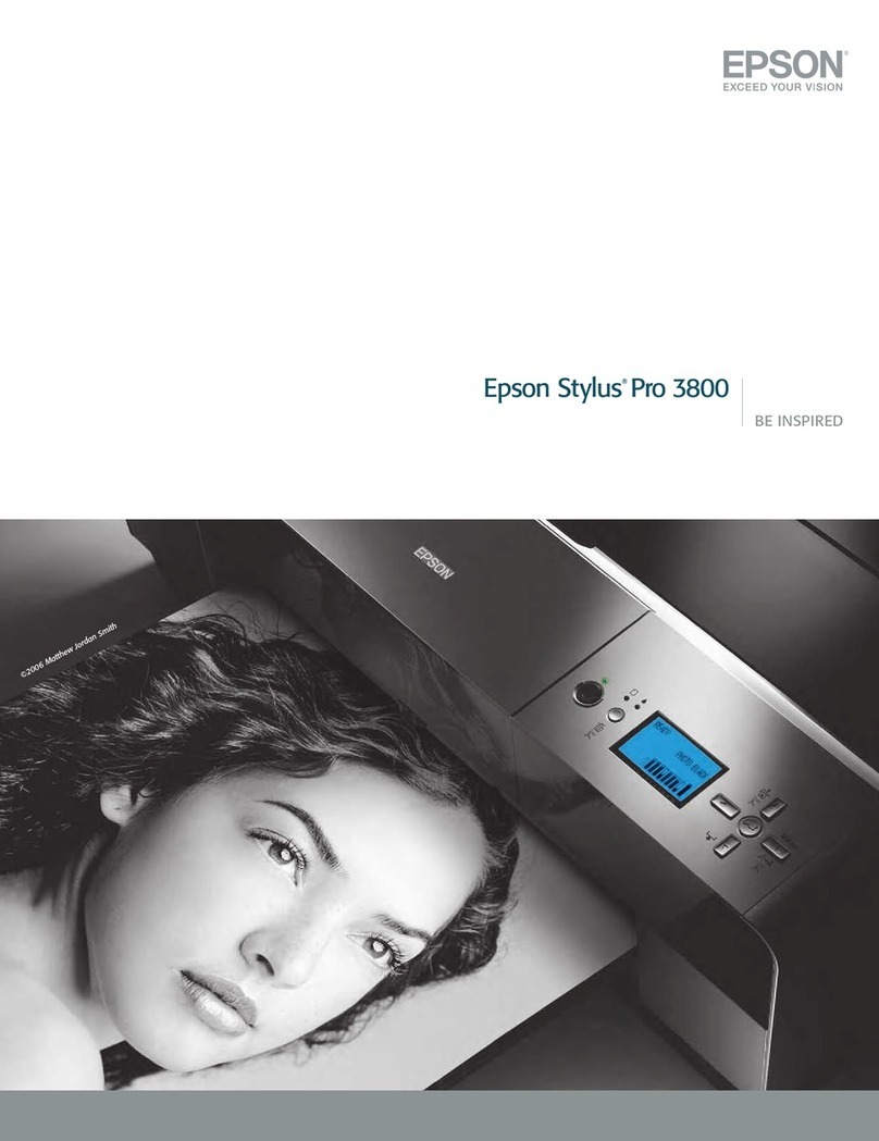 Epson Stylus pro 3800 portrait edition User manual