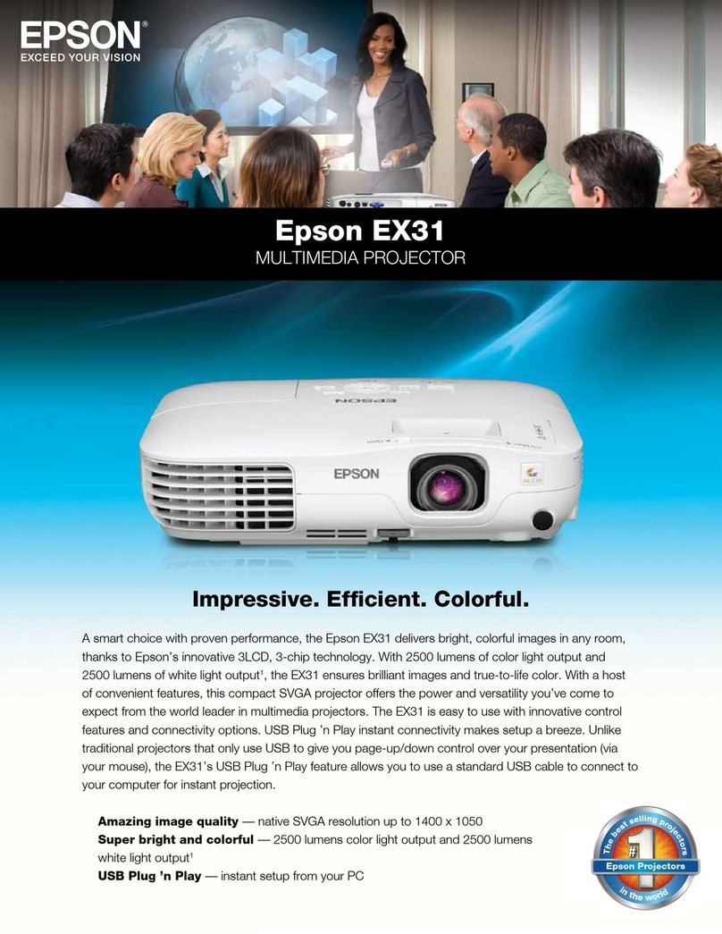 Epson EX31 User manual