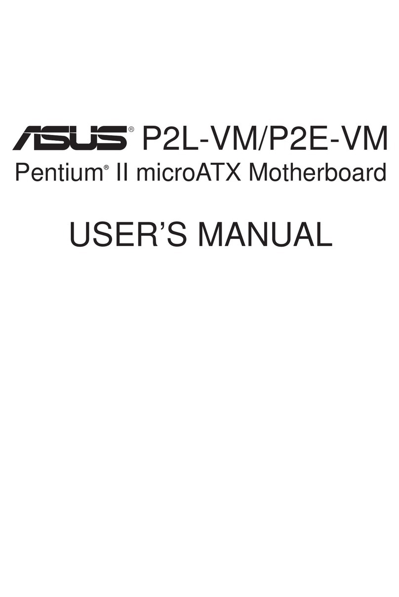 Asus P2E-VM user manual