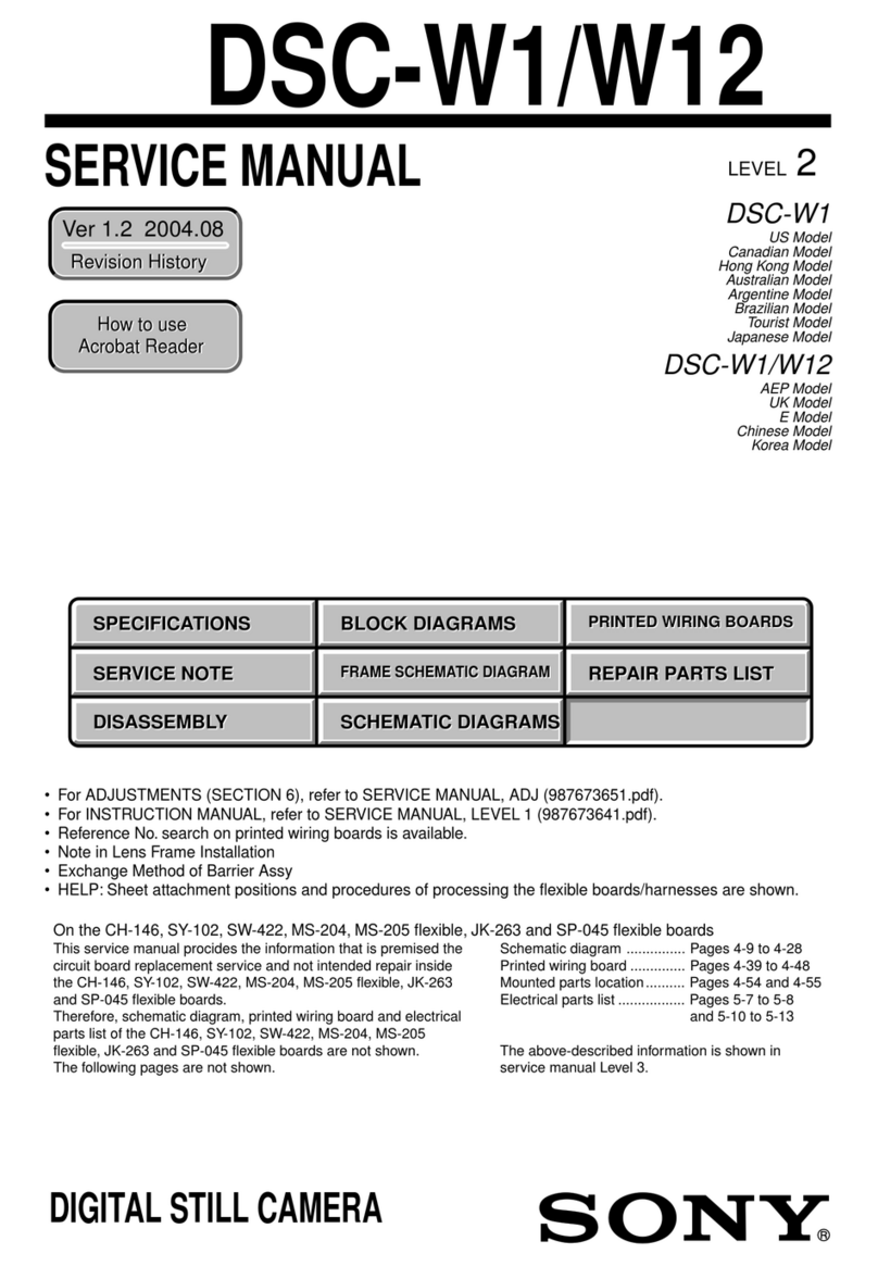 Sony CYBER-SHOT DSC-W1 User manual