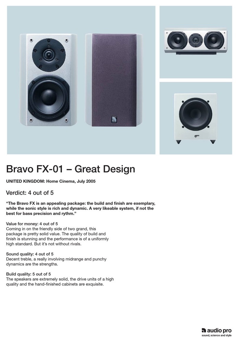 Audio Pro Bravo FX-01 User manual