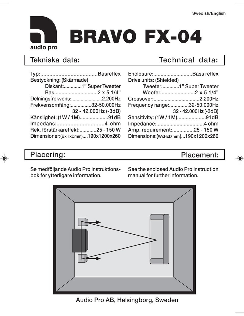 Audio Pro Bravo FX-04 user guide