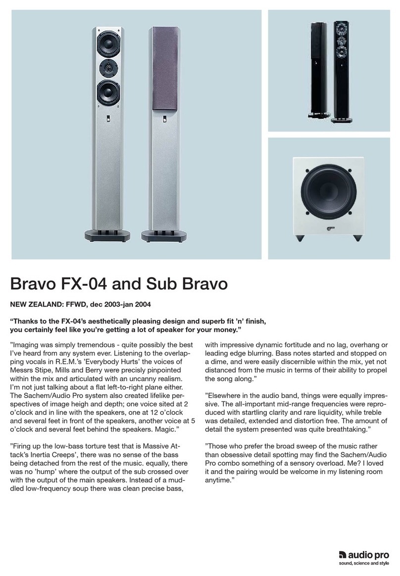 Audio Pro Bravo FX-04 User manual Audio Pro Bravo FX-04 User manual