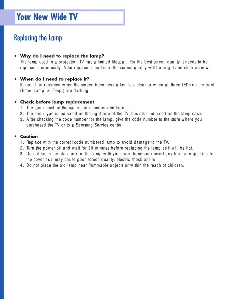 Samsung SP-46L3HR Guide