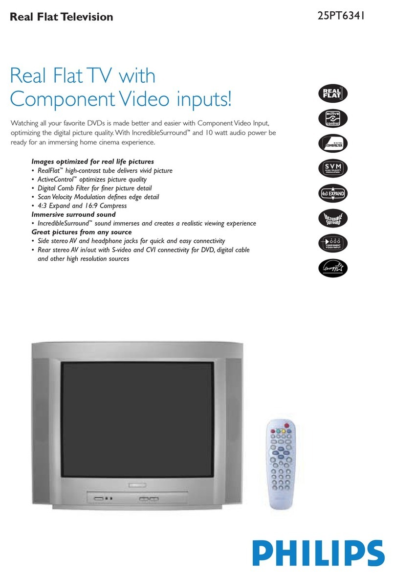 Philips 25PT6341/85 User manual