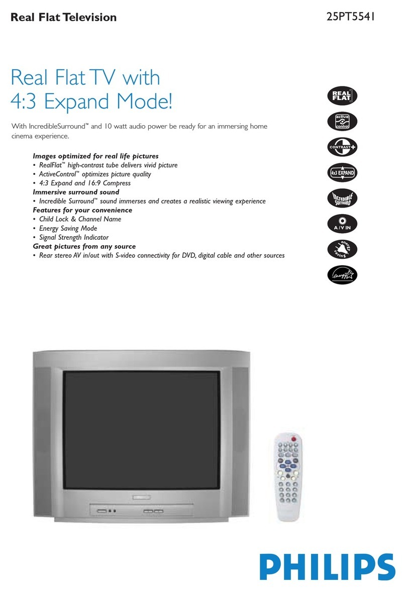 Philips 25PT5541/77 User manual