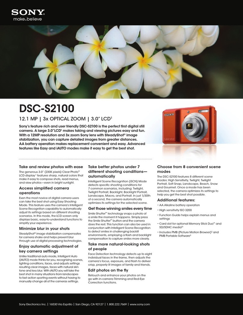 Sony Cyber-shot DSC-S2100 User manual