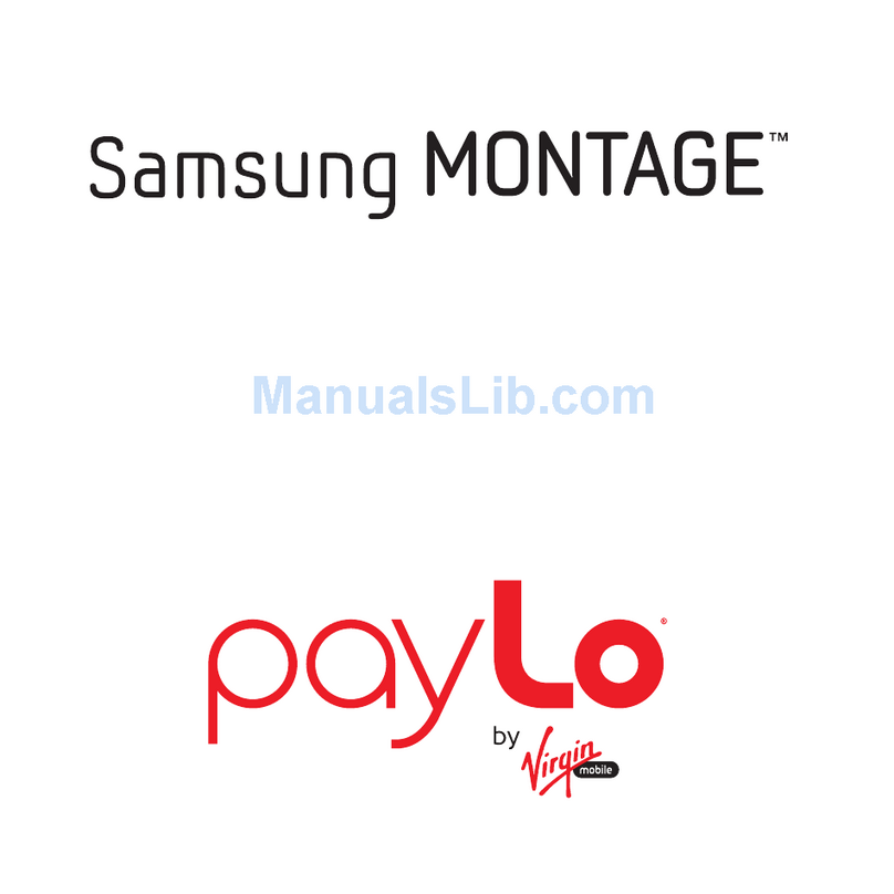 Samsung SPH-M390ZSAVMU User manual