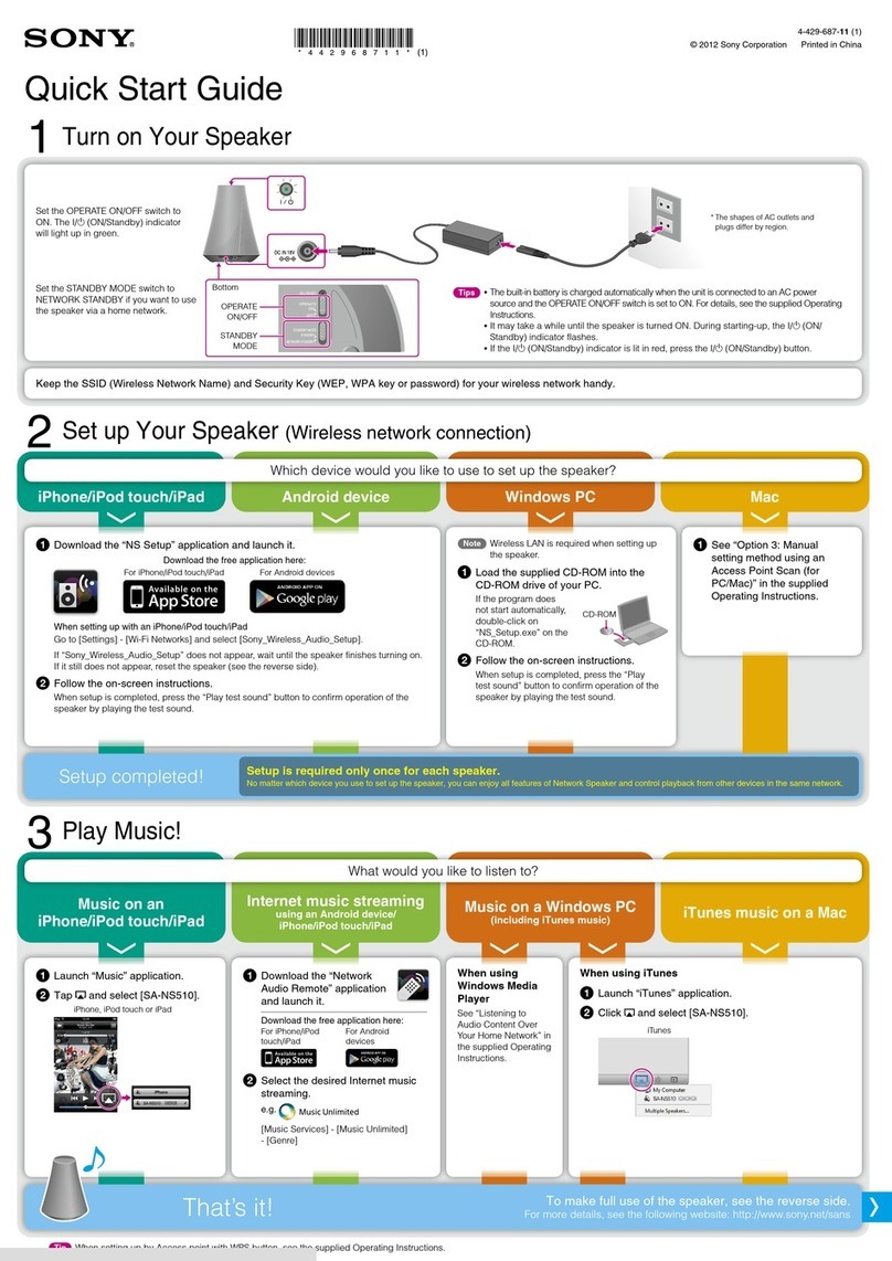 Sony SA-NS510 User manual