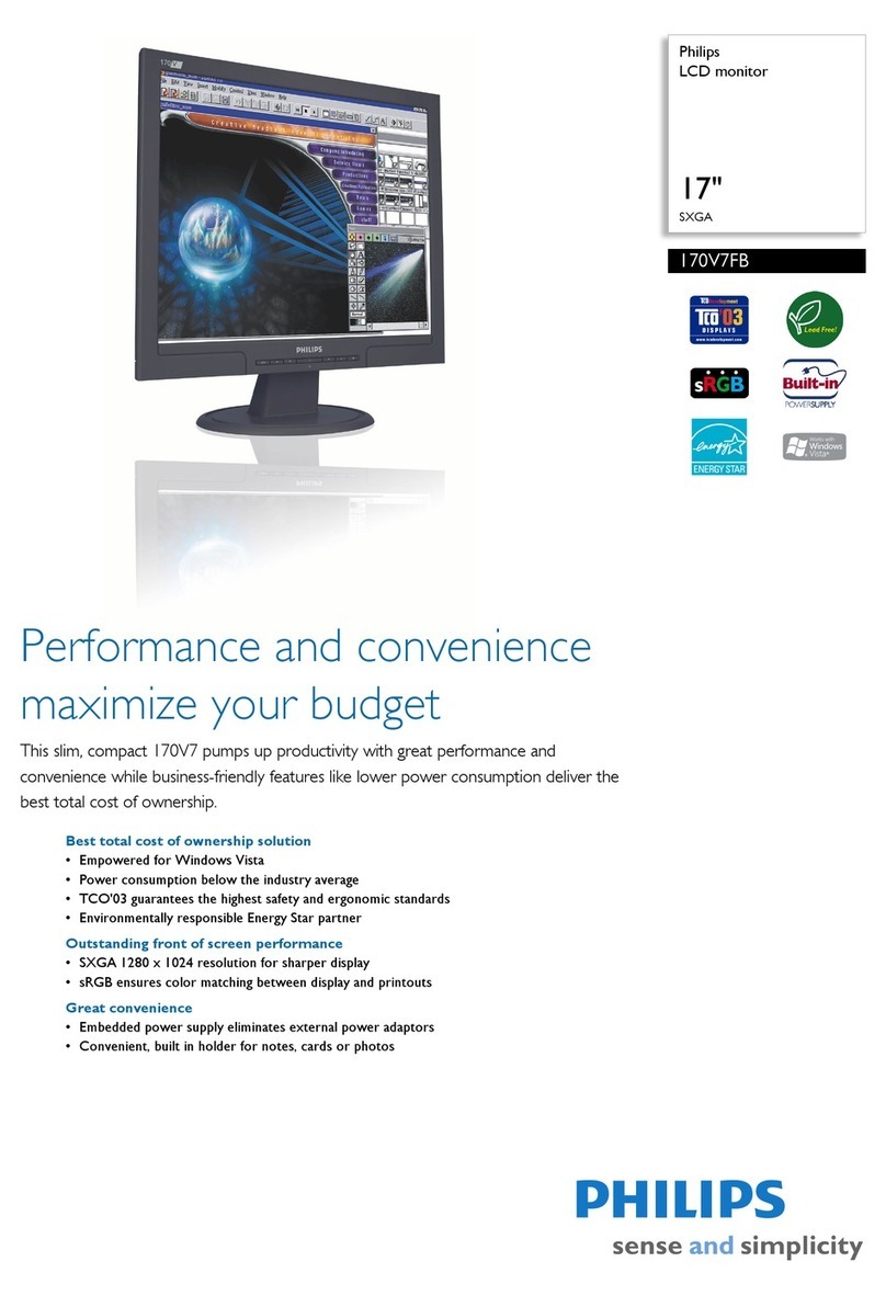Philips 170V7FB User manual