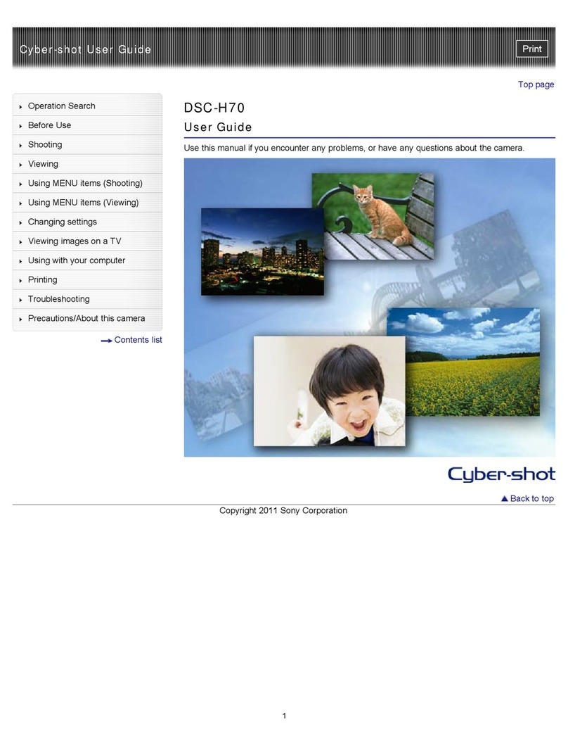 Sony Cyber-shot DSC-H70 user guide