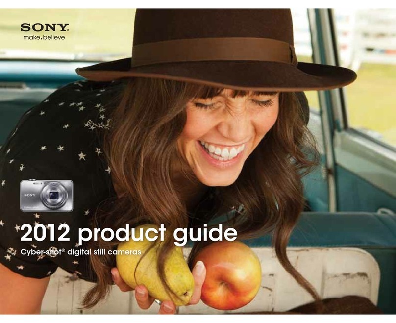 Sony Cyber-shot DSC-HX20V User manual