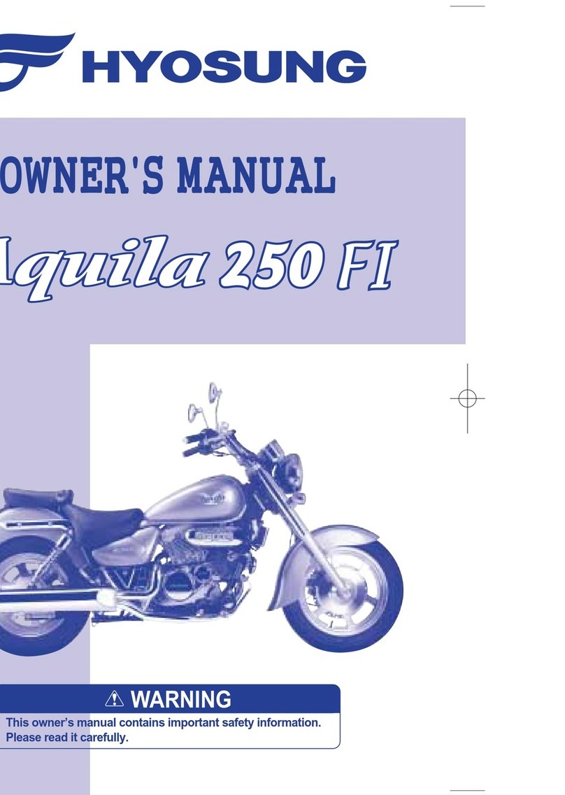 HYOSUNG GV 250 EFI User manual HYOSUNG GV 250 EFI User manual