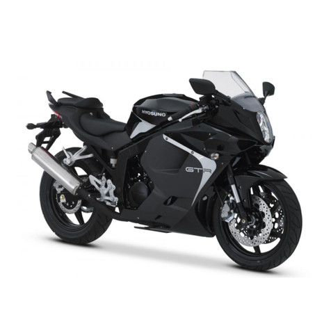 HYOSUNG GT250 brochure