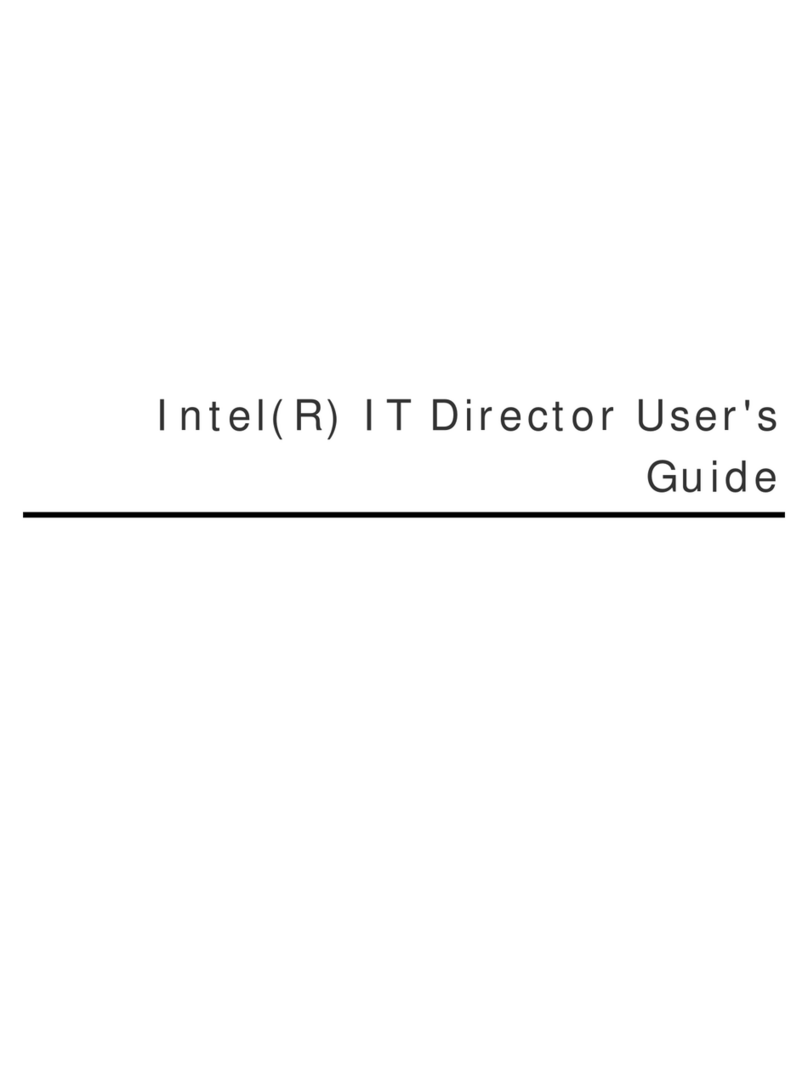 Intel IT DIRECTOR User manual