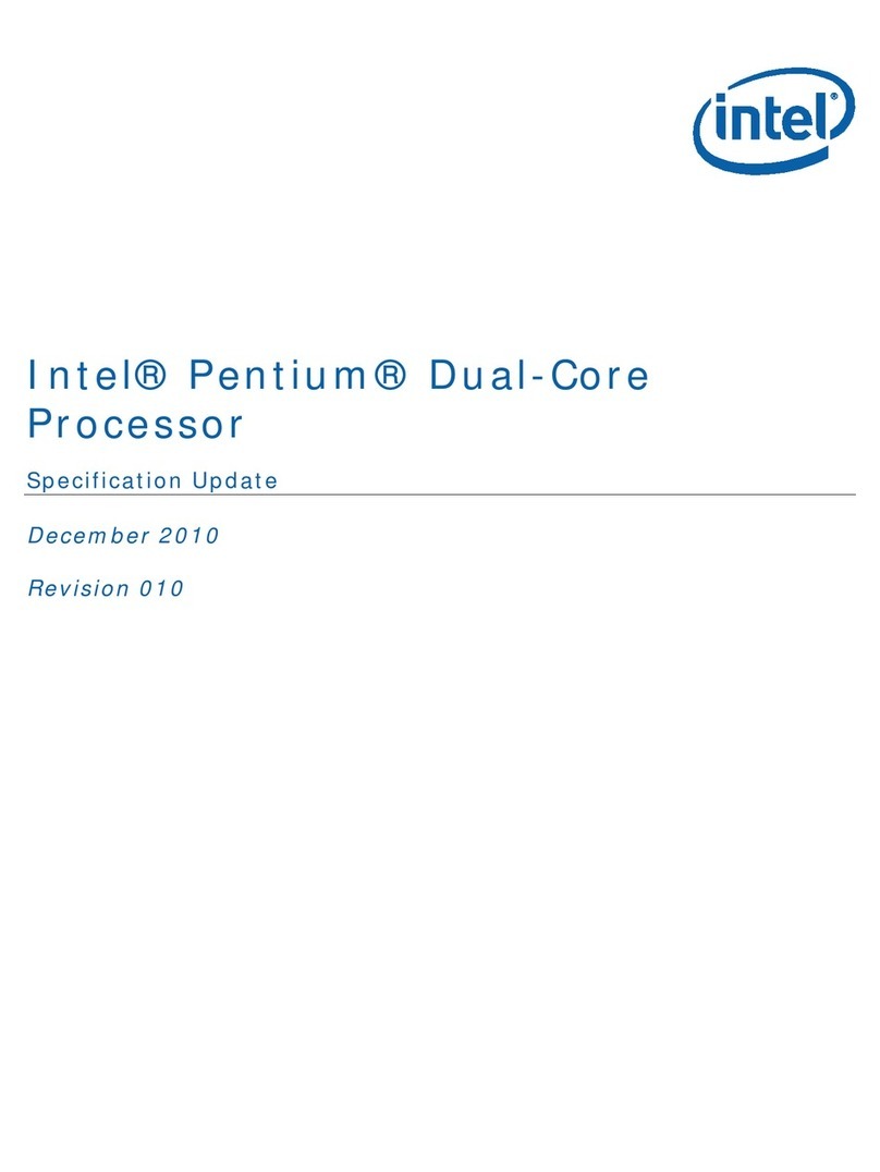 Intel DUAL-CORE -  UPDATE REV 010 User manual