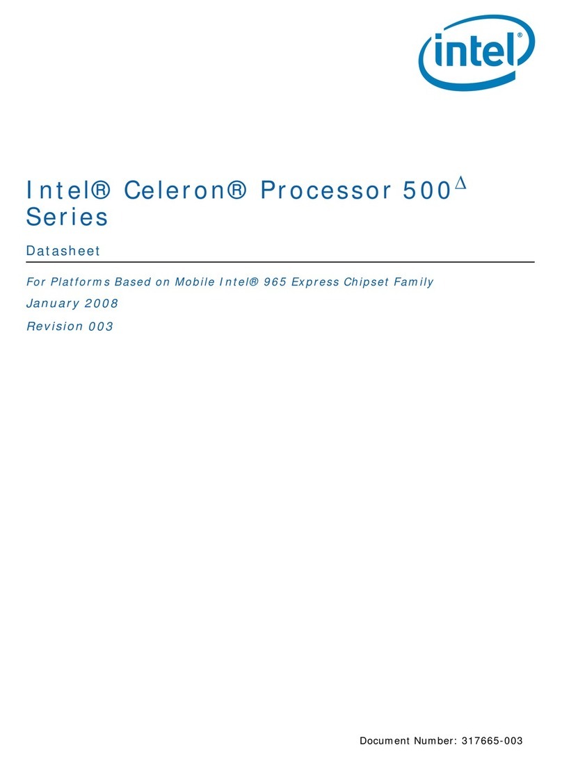 Intel 500 - DATASHEET REV 003 datasheet