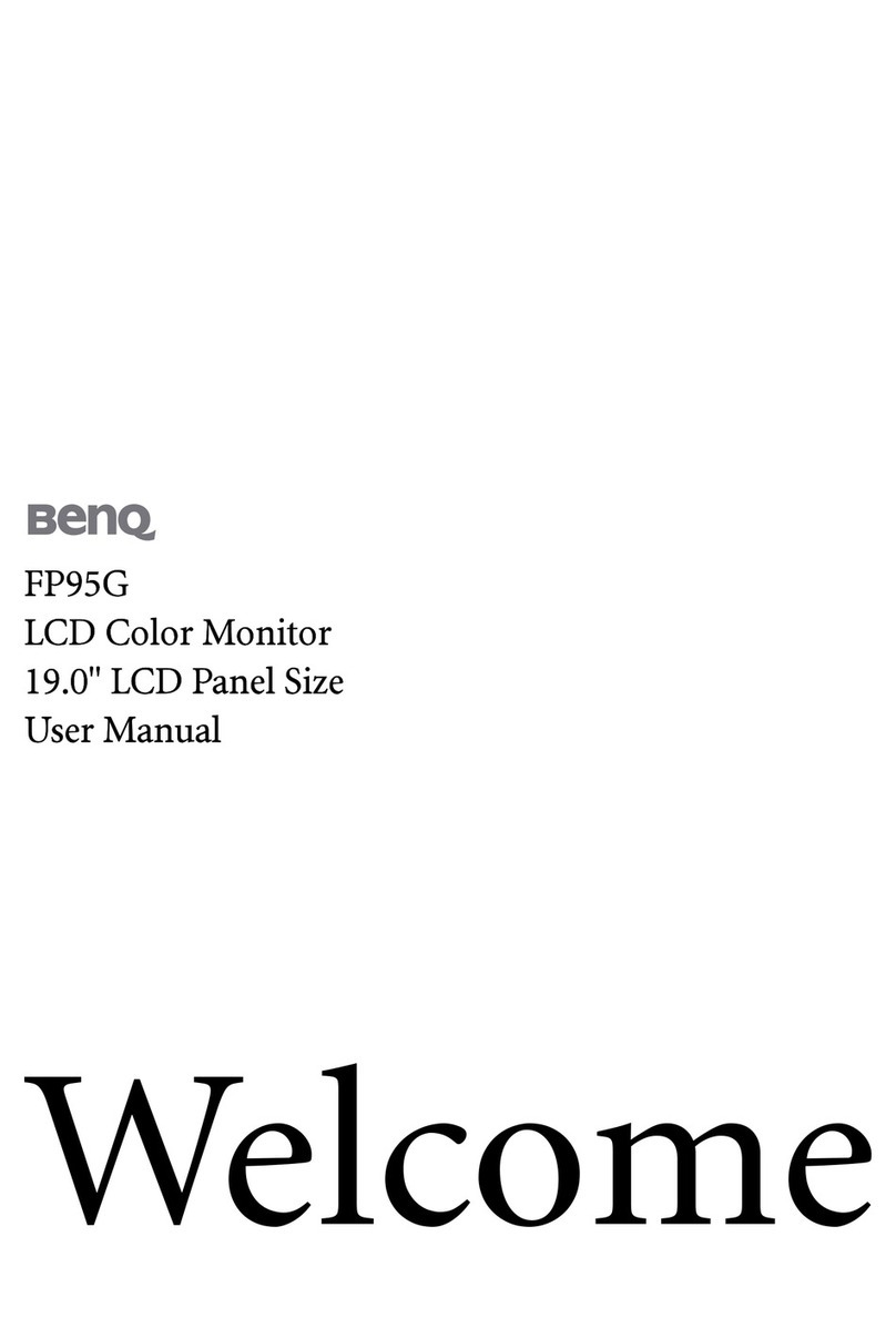 BenQ FP95G User manual